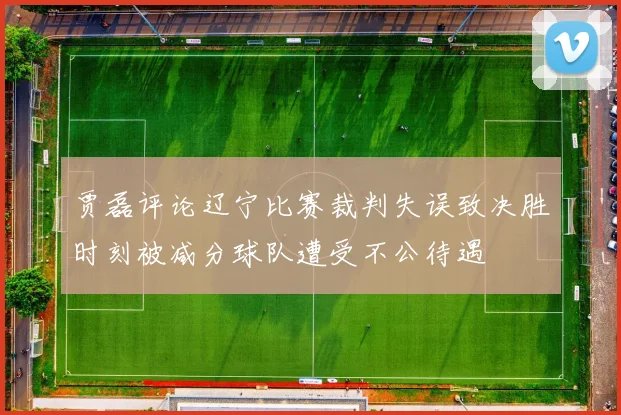 贾磊评论辽宁比赛裁判失误致决胜时刻被减分球队遭受不公待遇